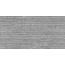 MEMORY RLV GRIS MAT 60X120 REKT. GAT.1 (P.78031)