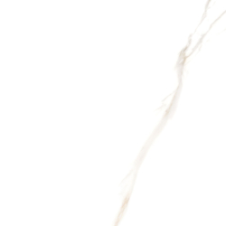 NEBBIA GOLD POLER 60X60 REKT. GAT.1 (P.78089)