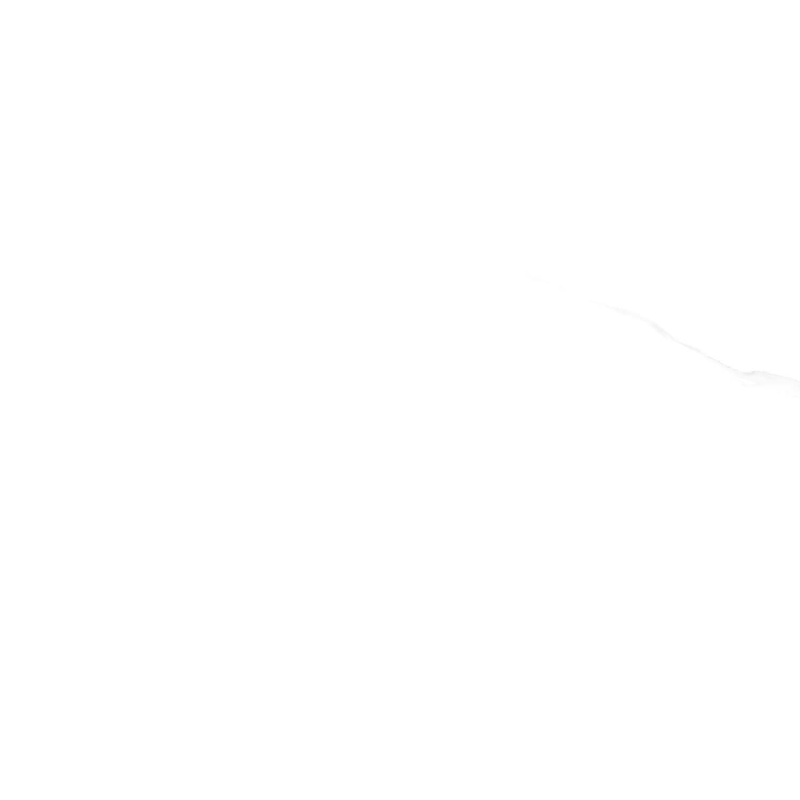 NEBBIA WHITE POLER 60X120 REKT. GAT.1 (P.78087)