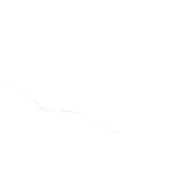 NEBBIA WHITE POLER 60X120 REKT. GAT.1 (P.78087)