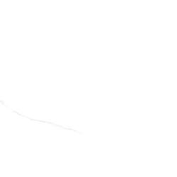 NEBBIA WHITE POLER 60X120 REKT. GAT.1 (P.78087)