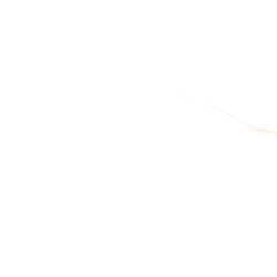 NEBBIA GOLD POLER 60X120...