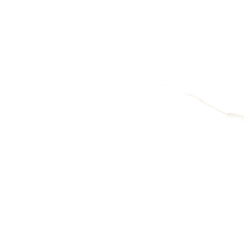 NEBBIA GOLD POLER 60X120 REKT. GAT.1 (P.78085)