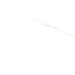 NEBBIA GOLD POLER 60X120 REKT. GAT.1 (P.78085)