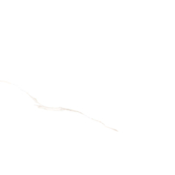 NEBBIA GOLD POLER 60X120 REKT. GAT.1 (P.78085)