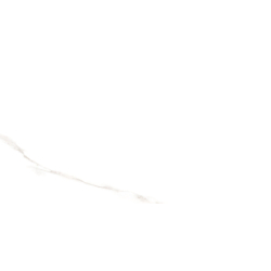 NEBBIA GOLD POLER 30X60...