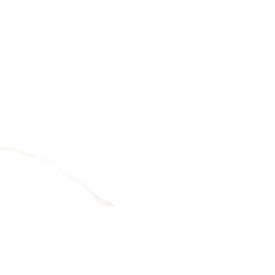 NEBBIA GOLD POLER 30X60 REKT. GAT.1 (P.78081)