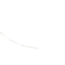 NEBBIA GOLD POLER 30X60 REKT. GAT.1 (P.78081)