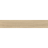 NORDIK ARCE MAT 20X120 REKT. GAT.1 (P.78075)