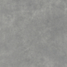 PORTLAND GRIS MAT 100X100 REKT. GAT.1 (P.77967)