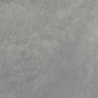 PORTLAND GRIS MAT 60X60 REKT. GAT.1 (P.78013)