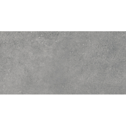 PORTLAND GRIS MAT 30X60...