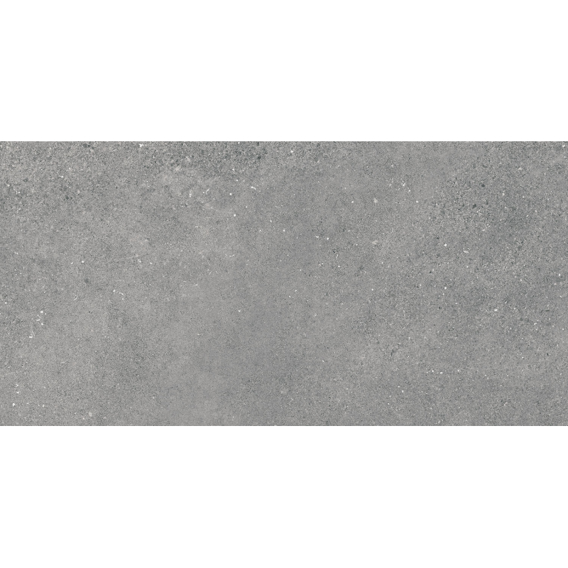 PORTLAND GRIS MAT 30X60 REKT. GAT.1 (P.77989)