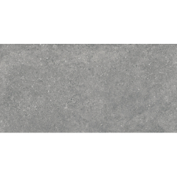 PORTLAND GRIS MAT 30X60 REKT. GAT.1 (P.77989)