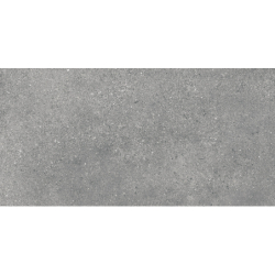 PORTLAND GRIS MAT 30X60 REKT. GAT.1 (P.77989)