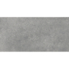PORTLAND GRIS MAT 30X60 REKT. GAT.1 (P.77989)