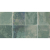 PROVENCE MINT POŁYSK 31,6X60 GAT.1 (P.78865)