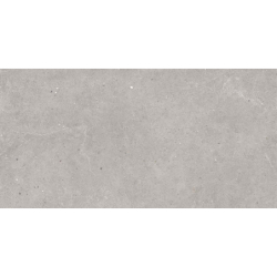 SERENNA GREY MAT 60X120...