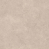 TALO TAUPE MAT 60X60 REKT. GAT.1 (P.78731)
