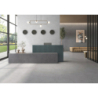 TALO PERLA MAT 60X120 REKT. GAT.1 (P.78729)