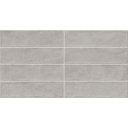 ZERO RLV CENIZA MAT 31,6X60 GAT.1 (P.79001)
