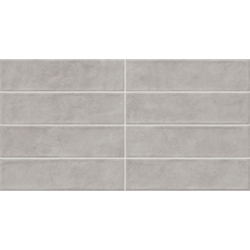 ZERO RLV CENIZA MAT 31,6X60 GAT.1 (P.79001)