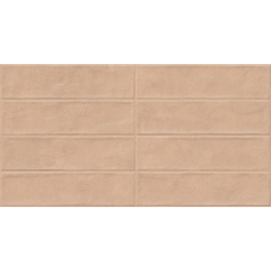 ZERO RLV CORAL MAT 31,6X60...