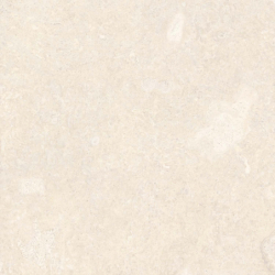 CORALINA MARFIL MAT 120X120...