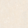 CORALINA MARFIL MAT 120X120 REKT. GAT.1 (P.78921)