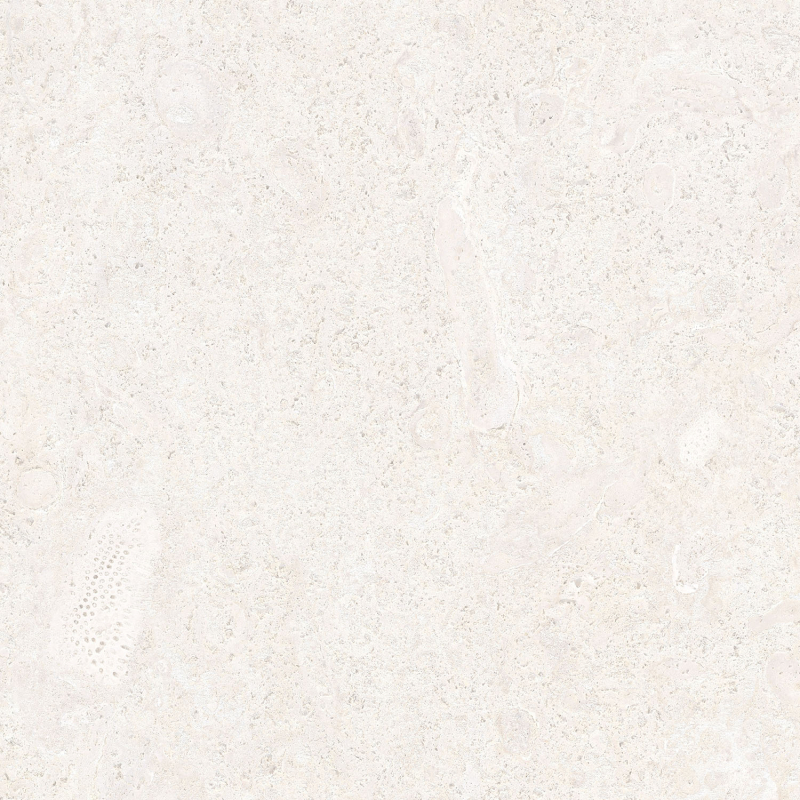 CORALINA BLANCO MAT 60X60 REKT. GAT.1 (P.78915)