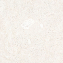 CORALINA BLANCO MAT 60X60 REKT. GAT.1 (P.78915)