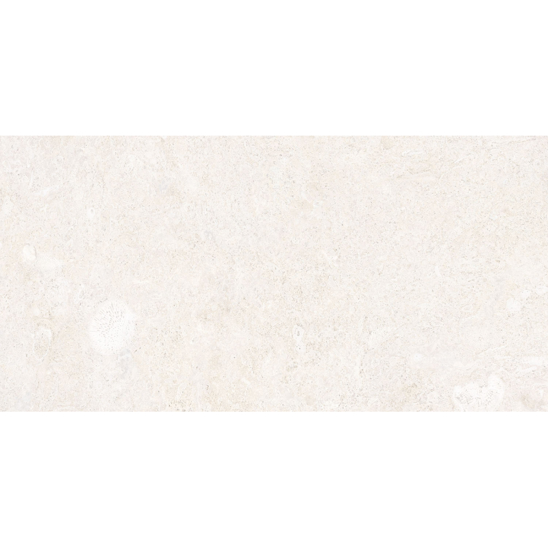 CORALINA BLANCO MAT 60X120 REKT. GAT.1 (P.78913)