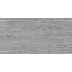 VEIN HERMES GRIS MAT 60X120...