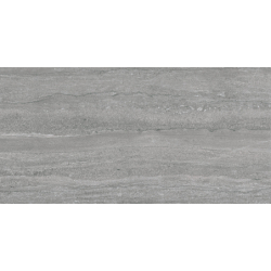 VEIN HERMES GRIS MAT 60X120 REKT. GAT.1 (P.78471)