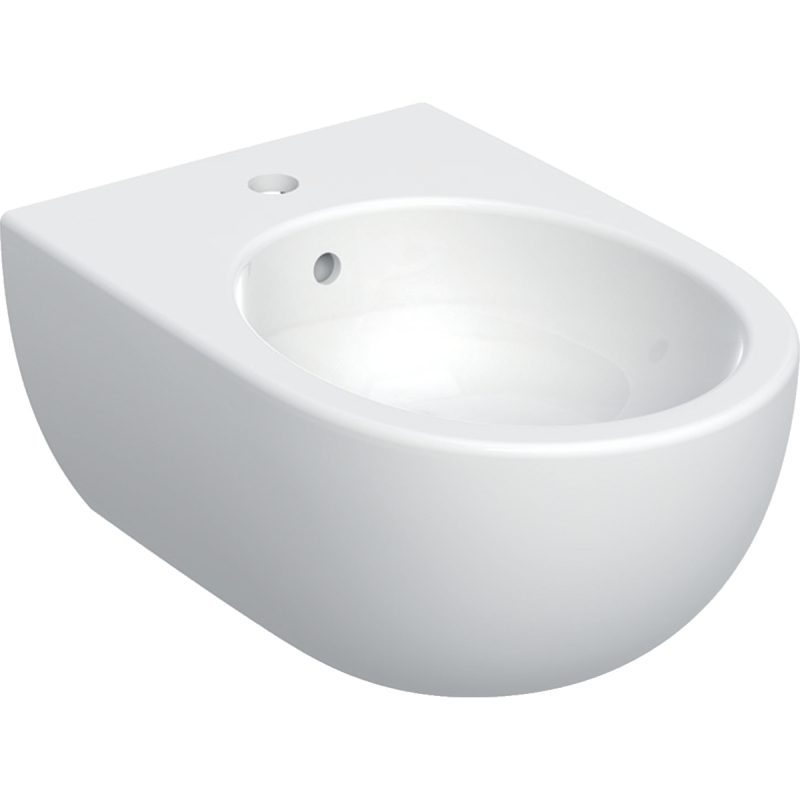 Selnova Bidet wiszący, B36cm, H26cm, T53cm, ukryte mocowania, z przelewem, z otworem na baterię GEBERIT 501.993.00.1