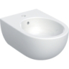 Selnova Bidet wiszący, B36cm, H26cm, T53cm, ukryte mocowania, z przelewem, z otworem na baterię GEBERIT 501.993.00.1