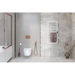Brego Smart grzejnik łazienkowy elektryczny 115x50 cm, cappuccino EXCELLENT GREX.BRS115.CA