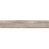 SAJONIA ARCE MAT 19,5X120 REKT. GAT.1 (P.82279)