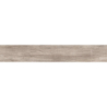 SAJONIA ARCE MAT 19,5X120 REKT. GAT.1 (P.82279)