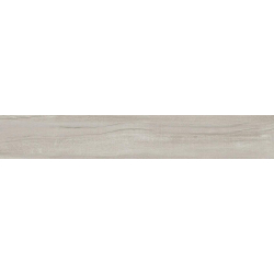 SAJONIA FRESNO MAT 19,5X120 REKT. GAT.1 (P.81635)