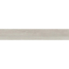 SAJONIA FRESNO MAT 19,5X120 REKT. GAT.1 (P.81635)