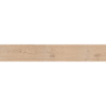 SELVA ABETO 26X160 REKT. GAT.1 (P.81653)