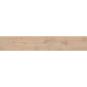 SELVA ABETO 26X160 REKT. GAT.1 (P.81653)