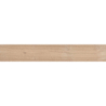 SELVA ABETO 26X160 REKT. GAT.1 (P.81653)