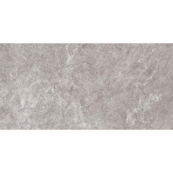 ARLES GRIS 30X60 REKT. GAT.1 (P.81571)
