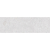 FOSIL PERLA MAT 31,5X100 REKT. GAT.1 (P.81611)