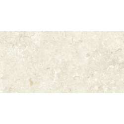 FOSIL BONE 46F232R MAT...