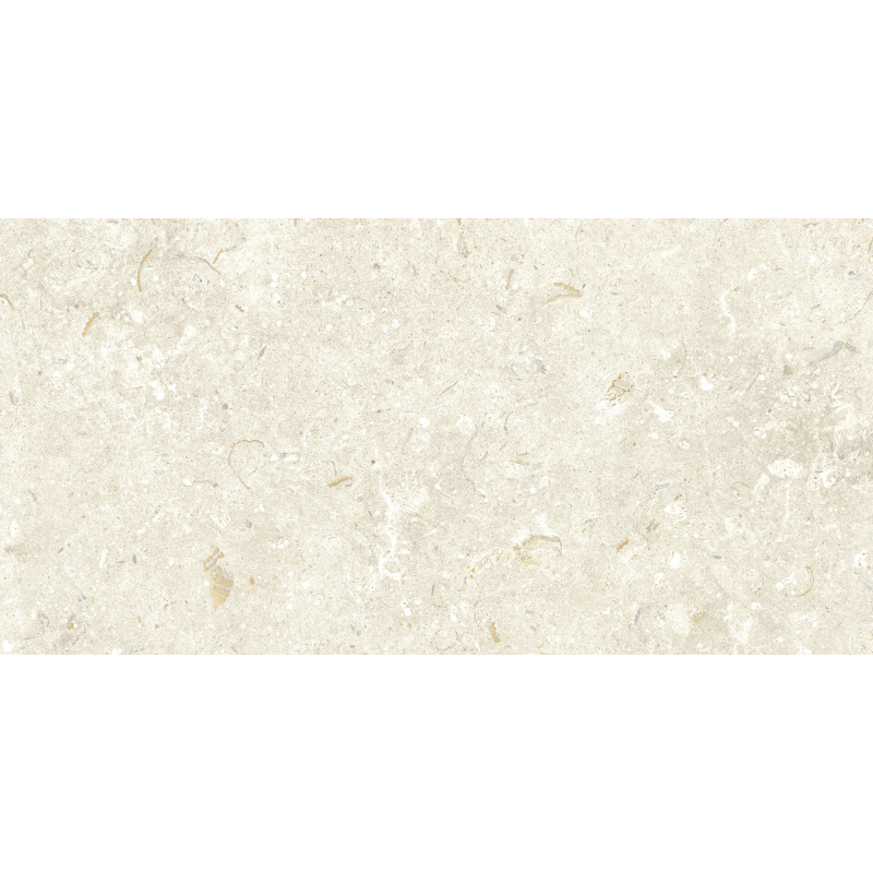 FOSIL BONE 46F232R MAT 30X60 REKT. GAT.1 (P.81697)