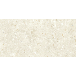 FOSIL BONE 46F232R MAT 30X60 REKT. GAT.1 (P.81697)