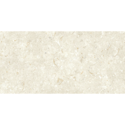 FOSIL BONE 46F232R MAT 30X60 REKT. GAT.1 (P.81697)